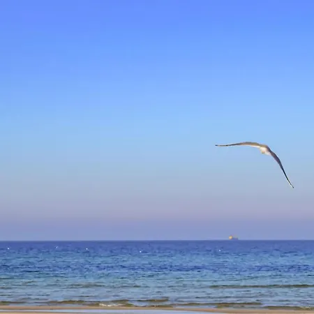 Stunning In With Sauna Holiday home *