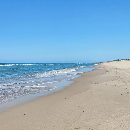 Stunning In With Sauna Holiday home *